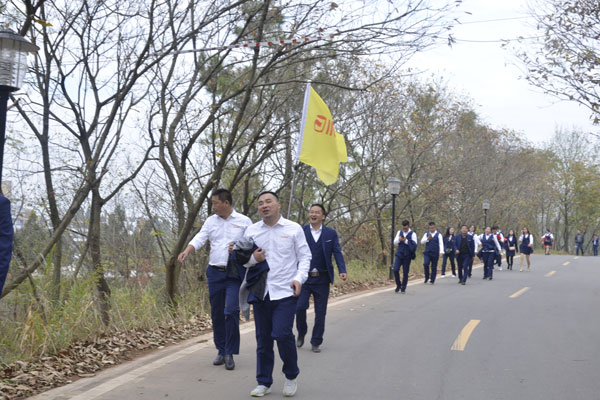 陽光行、快樂游
